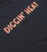 RECOGNIZE / DIGGIN' HEAT LS