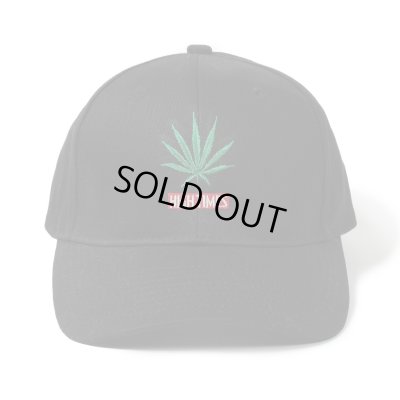 WACKO MARIA / HIGH TIMES / 6 PANEL CAP