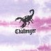 CHALLENGER / TIE DYE SCORPION TEE